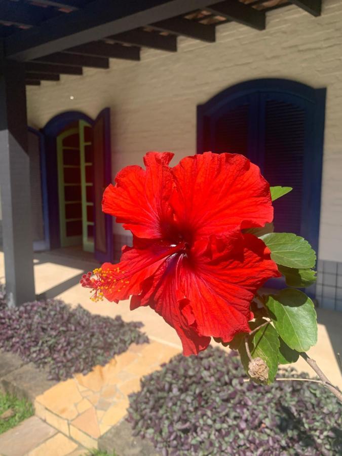 Ubatuba _ Vivencie Nossa Energia Villa ภายนอก รูปภาพ